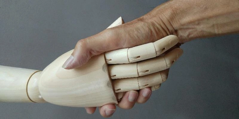 Anatomie pour BTS Podo-orthésiste : Les Bases